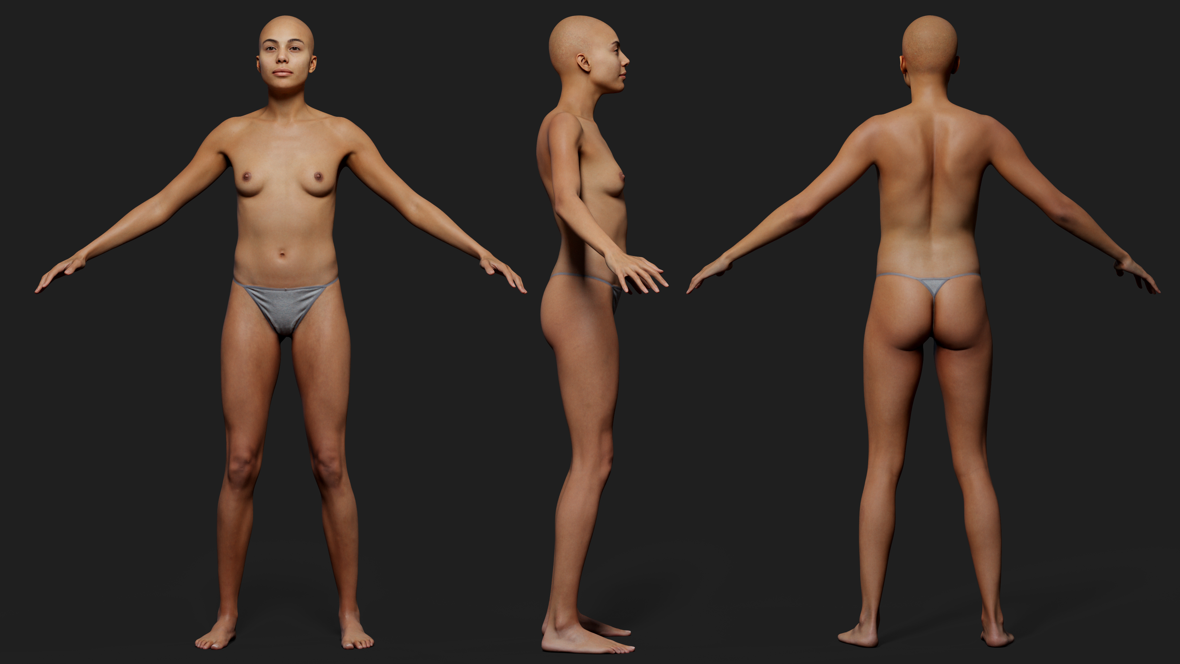 Download female bodybuilder 3d body model